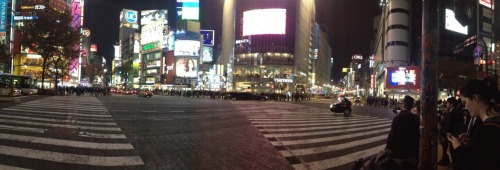 The famous Shibuya crossing. One of the biggest and busiest intersections in Japan!