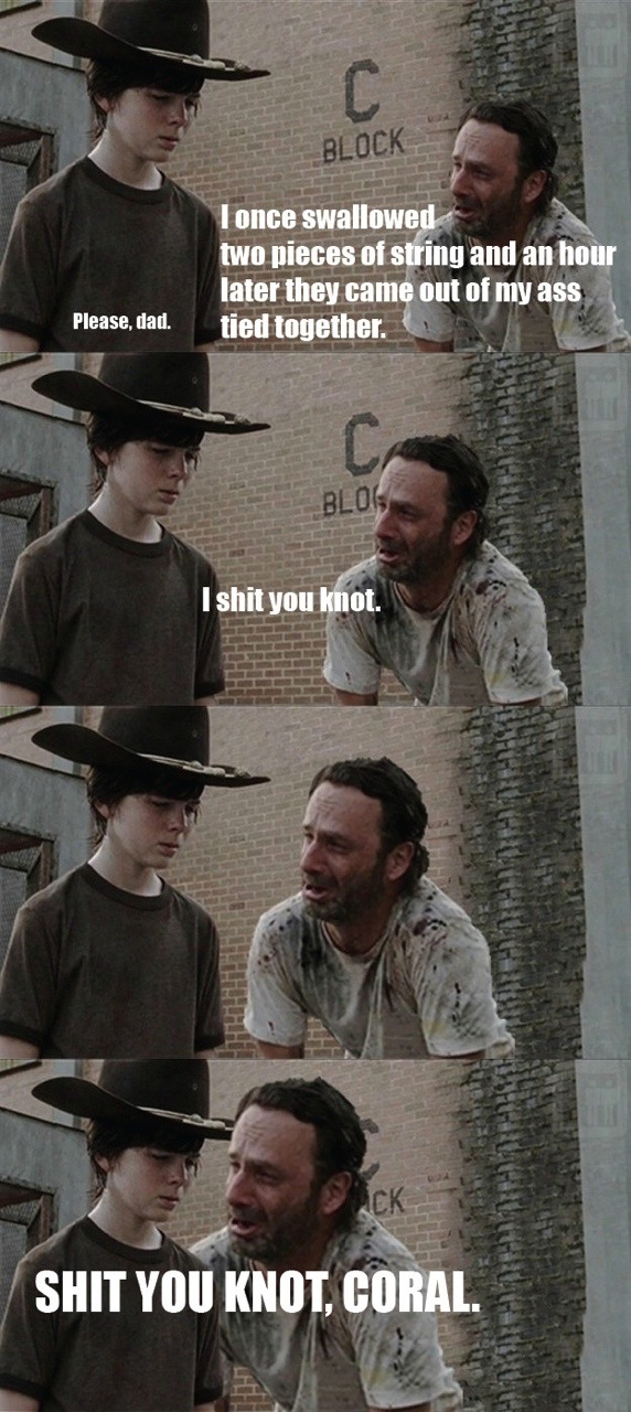 jeimms:  blueeyedmenace:  The walking dead// Rick Grimes dad jokes the walking dead//