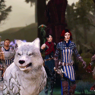 DRAGON AGE: ORIGINS → 8/? ↳Nature of the Beast The