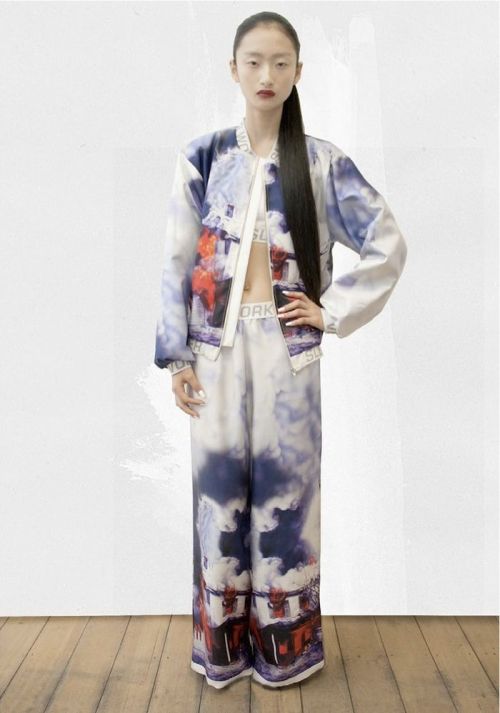 Rowena Xi Kang for Verner Fall 2013