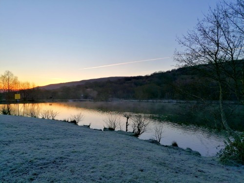 Frosty Morning