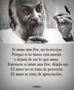 nathiinyaan:  que sabio!