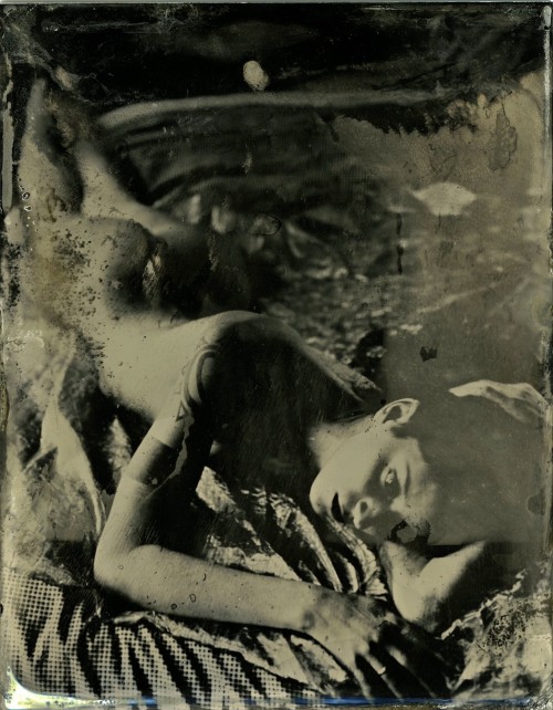 camdamage:  cam damage (+ cuttlefish) | by Brooke LabrieThese are one-of-a-kind collodion wetplate images produced on a 3.5x4.5″ sheet of tin; also called a tintype.  Varnished for protection & longevity.  These images were exposed on used plates,