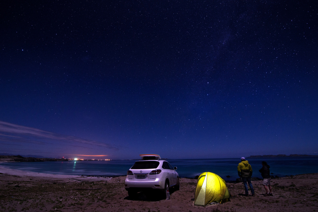 kusta-astronaut:  Desierto Florido 
