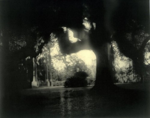 Sally Mann, Deep South, plate 5, Windsor Ruins, Claiborne County, MIssissippi, 1998from Deep South b