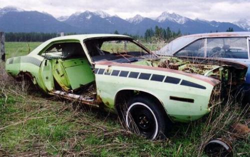 yes the holy grail of muscle !!!!!!  cuda