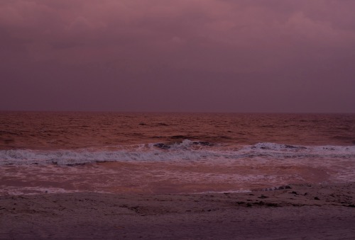 Wolfgang Tillmans (German, b. 1968, Remscheid, Germany) - Fire Island from On the Verge of Visibilit