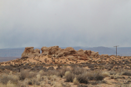 highways-are-liminal-spaces:Vermillion Cliffs and Route 89, ArizonaTaken March 2021