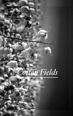 blk-bearded-jesus:  COTTON FIELDS - a short