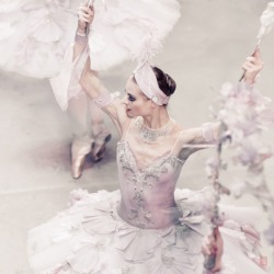 lasylphidedubolchoi:  Mikhailovsky’s Le Corsaire Photos by Nikolai Krusser 