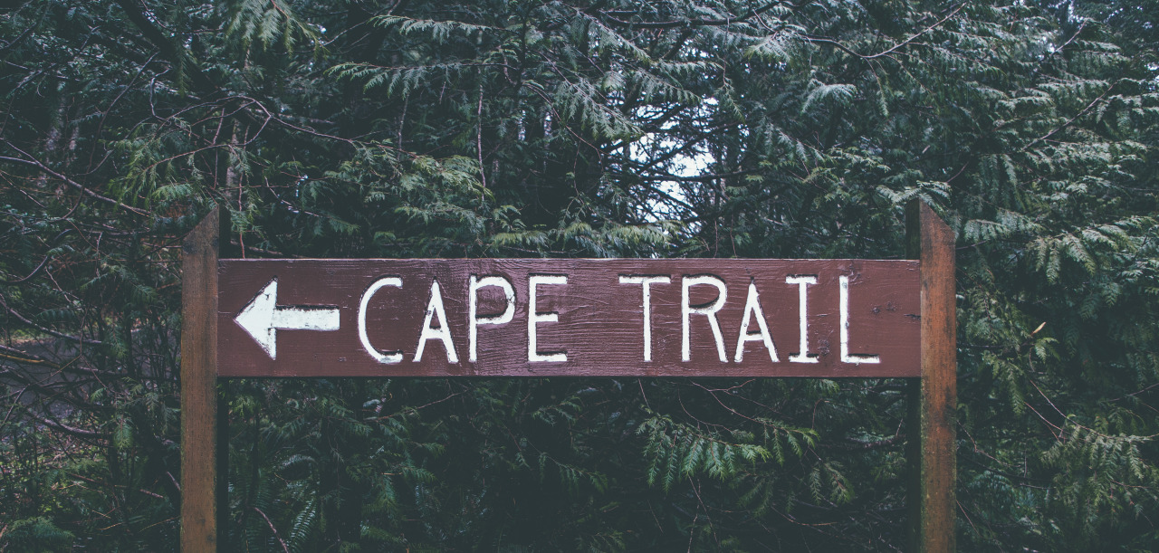 missbluespruce: Finding the end of the road