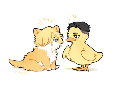 selpeda:KittenYurio and Otabebek((bebek means duck))