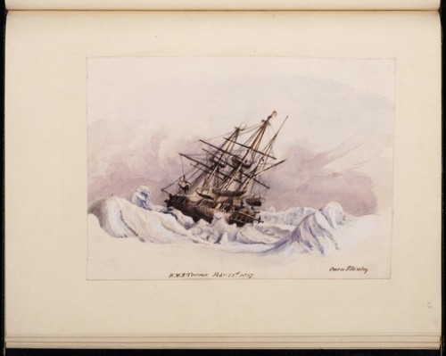 ltwilliammowett:These are a few more drawings made by Captain Owen Stanley on his artic expedition u