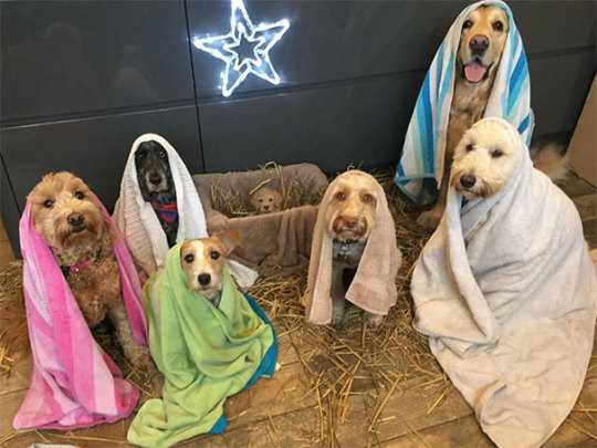 People Who Work With Animals Are Sharing Their Cutest Photos, And We Can’t Get Enough