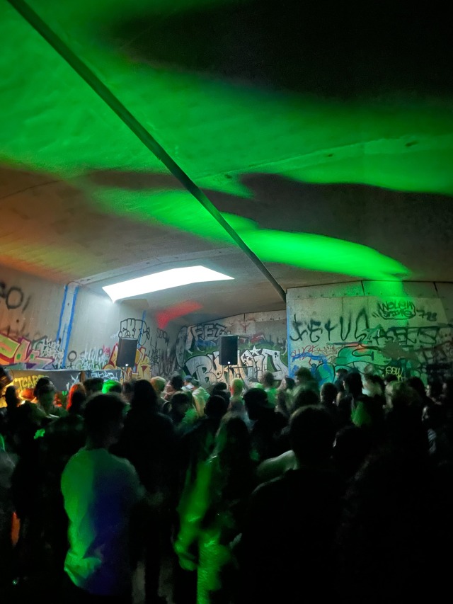 Organised A Rave Under A Bridge