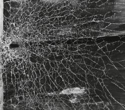 nervoservo:   Andreas Feininger - Grass Spider Tunnel, 1951  