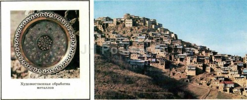 lilium-bosniacum: USSR 1981 / Dagestan, North Caucasus 
