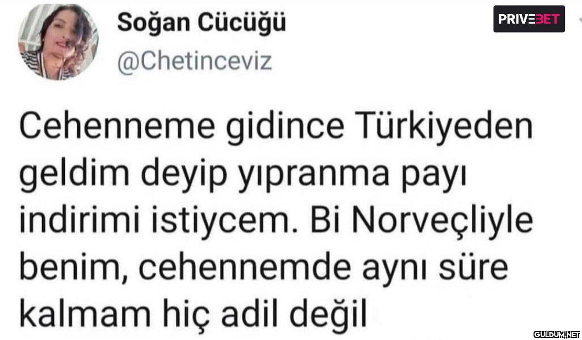 Soğan Cücüğü @Chetinceviz...