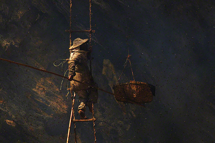 indiaincredible:   Ancient Tradition of Honey Hunting in Nepal 