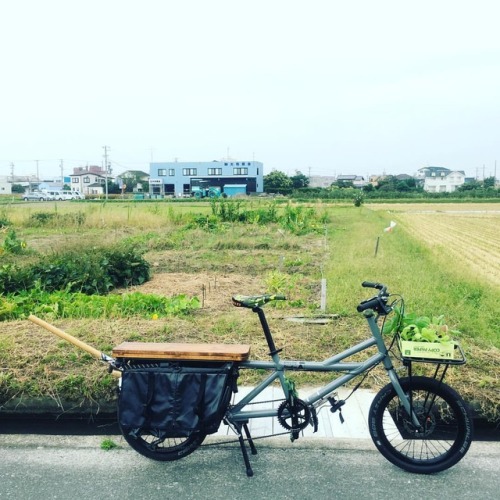 green-cog: FARMER’S BICYCLE  #utilite #greencog #greencogfarm #畑 #自転車 #bicycle #浜松市 #浜松市自転車店 (Green 