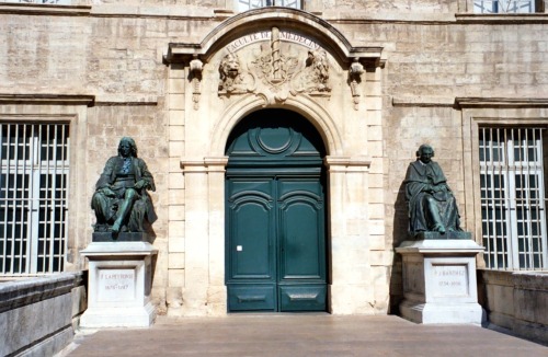 Faculté de médecine, Université de Montpellier, France, 2005.From the late middle ages through the r