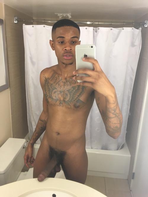lonestranger: Featured Tumblr Blogger: anacondaandre  >  Tumblr Blog: ANACONDA ANDRE  >  Socia