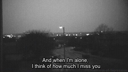 my wonderland