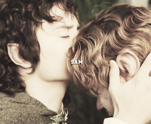 ohtinuviel:  My dear Sam. You cannot always be torn in two. You will have to be one and whole for many years. You have so much to enjoy and to be and to do. Your part in the story will go on.