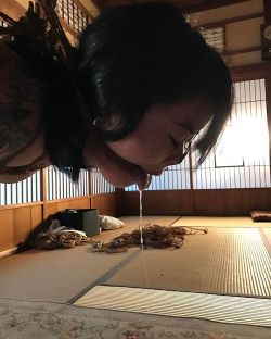 japanesebdsmofficial:  KinbikenKinbaku Naka