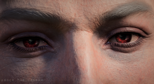 A Short Series With Companions' Eyes