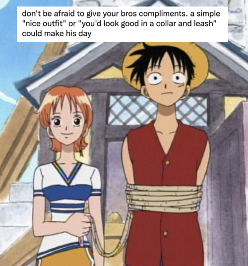 One Piece Textposts/Tweets/Memes Pt. 3