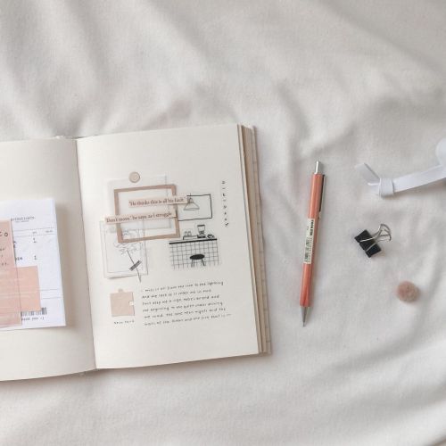 gentlepalettes-study