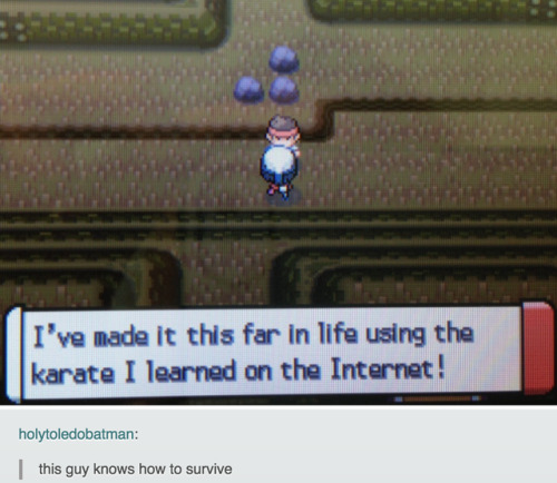 i-have-no-gender-only-rage:Tumblr and Pokemon