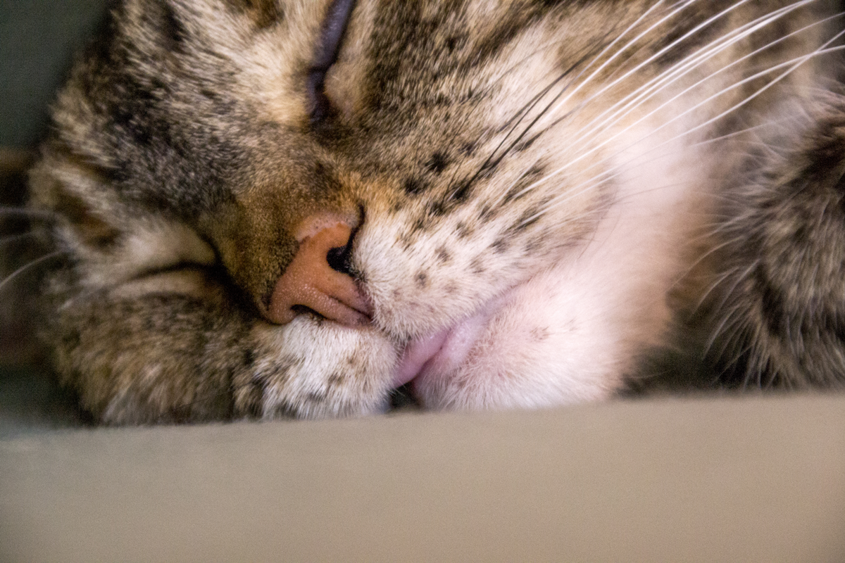 herm-a-lerm:  Bleeep~ 