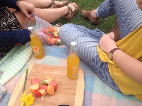 XXX lovelysucculent:  lovely picnic with my favorite photo