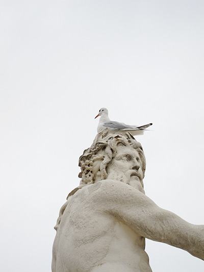 elfears: arpeggia:  Munemasa Takahasi - Birds on The Heads  I took this in Belfast this is truly an 