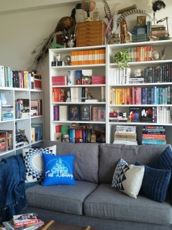 babbling–books:  My new bookshelves: Tonic for a weary spirit. Library pillow from @bookwormboutique 