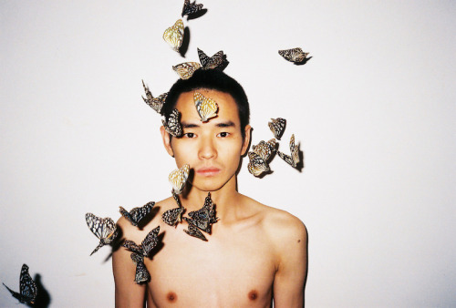 Porn untrustyou:  Ren Hang photos