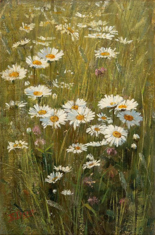 pintoras:Elin Danielson-Gambogi (Finnish, 1861 - 1919): Flowers in the meadow (via Bukowskis)