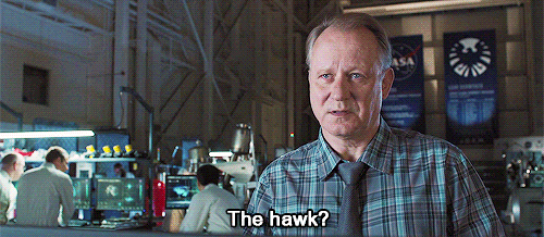     The Avengers Meme: Ten Scenes [6/10] ↳Clint Barton takes the “Hawk” in “Hawkeye” to a whole new level.    