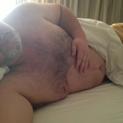 coachbear:  Pretty comfy… Cuddles anyone?