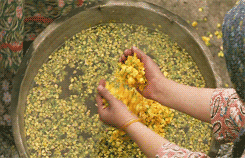 mizoguchi:  The Color of Paradise/Rang-e Khodā/ رنگ خدا (Majid Majidi - 1999)