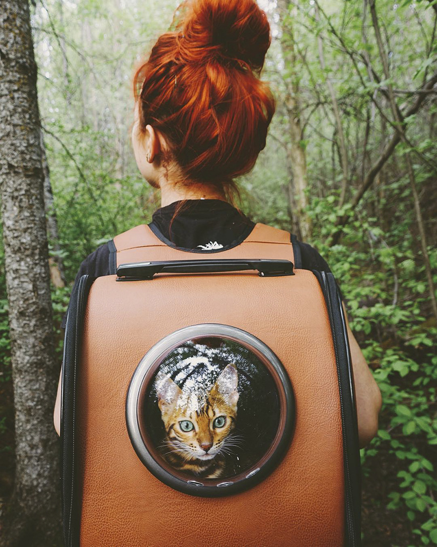 landscape-photo-graphy: Beautiful Bengal Cat Suki Adds Magic With Her Dazzling Sea