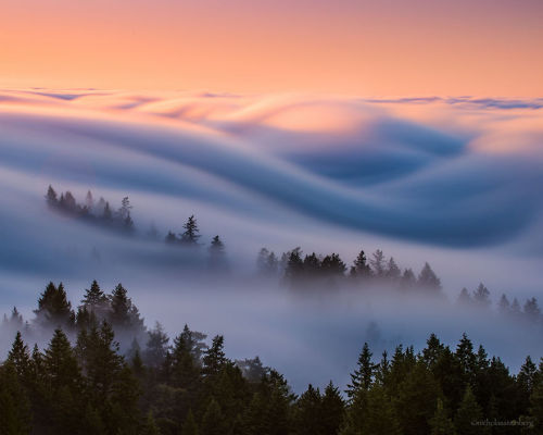 archatlas:  Nick Steinberg’s Fog WavesIn the words of the artist ​ Nick Steinberg:For the last 8 years I’ve been shooting in the San Francisco area I have been absolutely obsessed with the fog. Night and day it’s what I live for and what defines