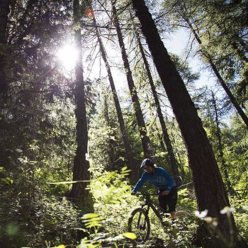 thebicycletree: Throwback to the summer with #hopetech blogger @alastairparkin ift.tt/1MV2ZD