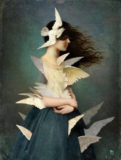 nachtbilder-interlude:  Christian Schloe Metamorphosis 2014