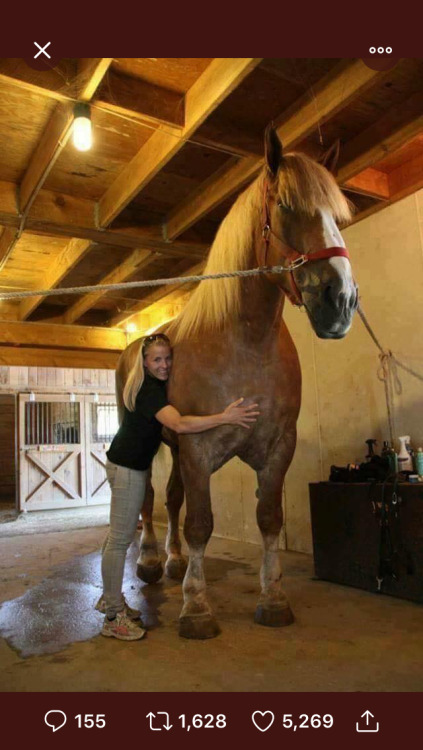 cosmic-kitten-s:tariqah:olive2004:I cannot @ how big he isSonAn absolute unit#hey tanner look at thi