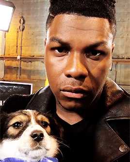 johnbcyega: #TWO PUPPIES HANGING OUT