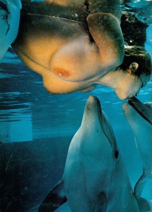 backforbreakfast:Cetaceous kisses 💋🐬🐬 