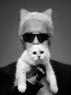 rogue-saint:  Karl & Choupette Photo